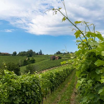 cosa vedere nelle langhe in 2 giorni