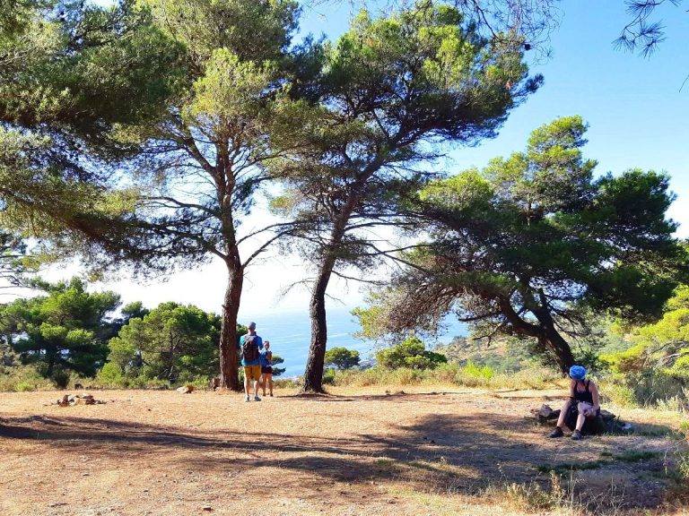 CAMMINATE IN LIGURIA DI PONENTE LA VIA DELLA COSTA pineta sopra lingueglietta