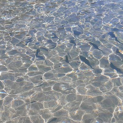 Isole Tremiti come arrivare e consigli per la visita