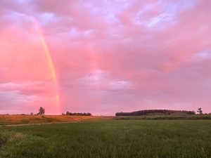 Oltre Po mantovano tramonto con arcobaleno san benedetto po