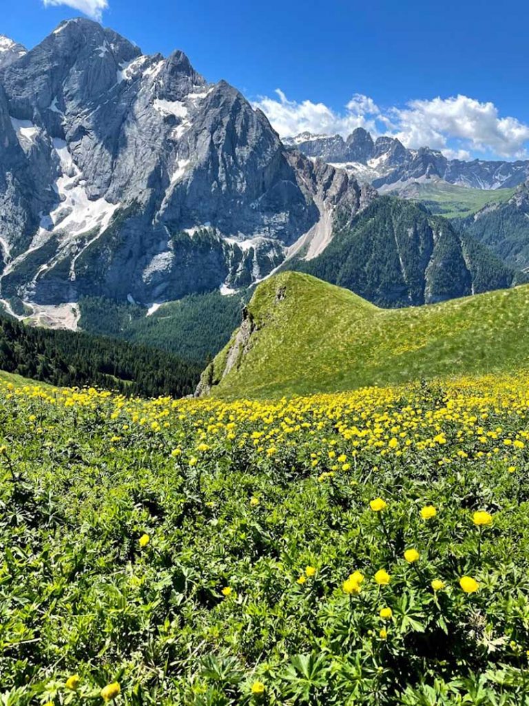 5 escursioni facili in val di fassa ideali con bambini
