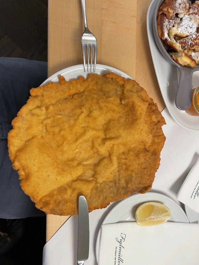 Cosa fare a Vienna in 3 giorni con bambini cotoletta