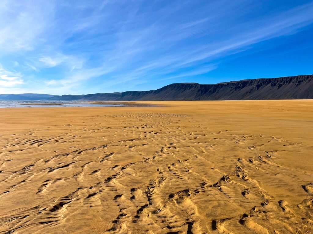fiordi occidentali islandesi FIORDI OCCIDENTALI ISLANDESI spiaggia Raudisandur